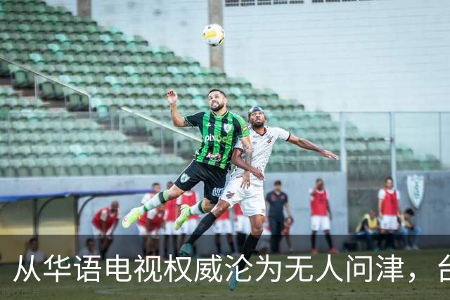 从华语电视权威沦为无人问津，台湾金钟奖，只剩仔仔和深V撑场面